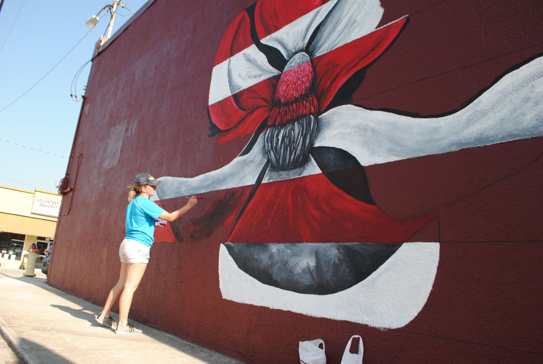 Mural (being painted)